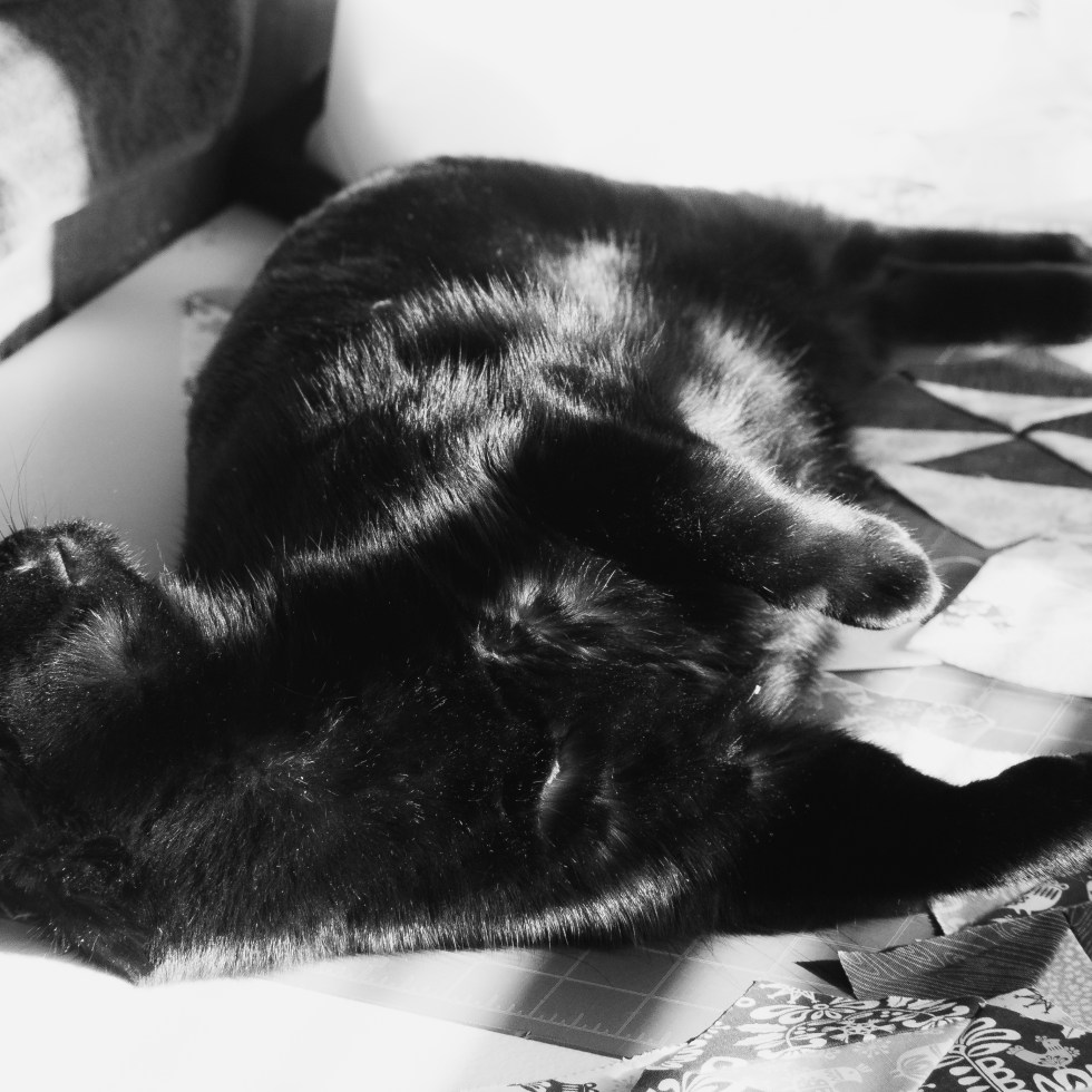 black cat on sewing table