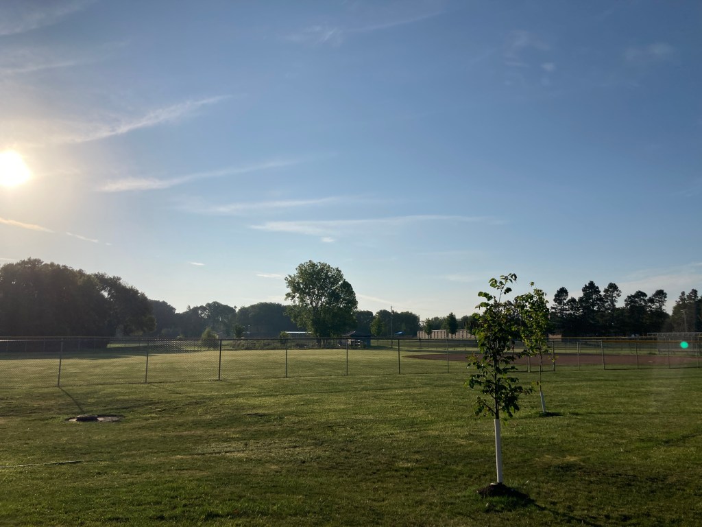 morning walk - baseball fields